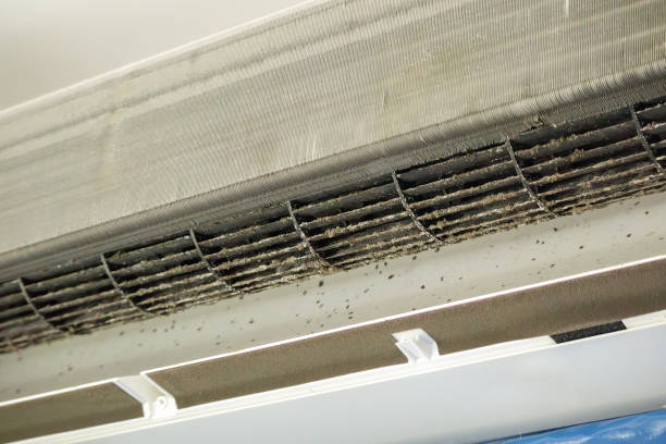 Professional Airduct Cleaning in Homewood, AL